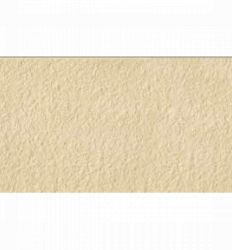 Living Outdoor PNR Beige R11 30.8x61.5 