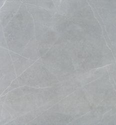 Elegant Grigio 60x60