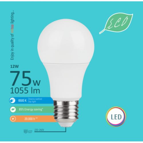 E27 12W A60 6500K LED ECO sijalica 220-240V