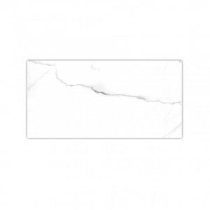 Carrara White 25×50