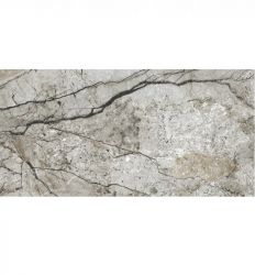 Marble Skin Grey Matt 59.8×119.8