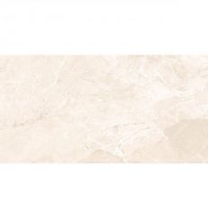 Earthstone Beige 60x120