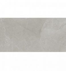 Marble Art Grey 59.5x120